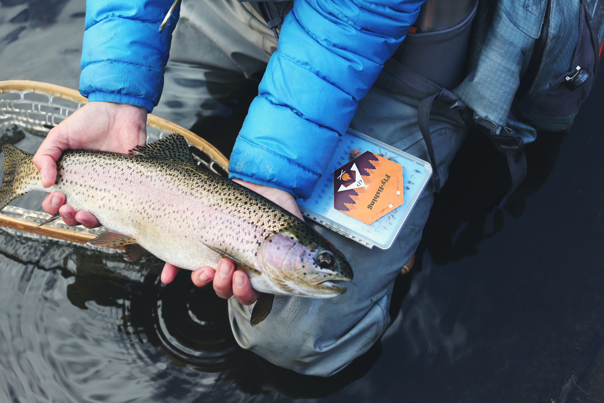 image of a fisherman catching a trout